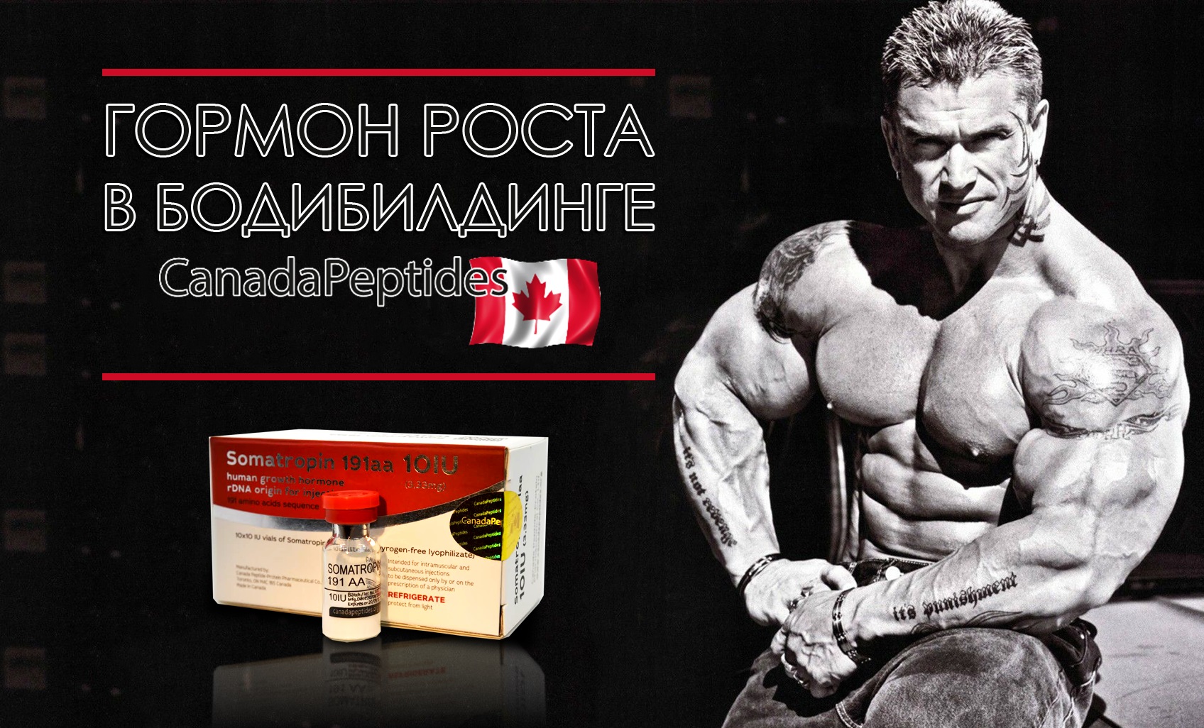 Гормон роста в бодибилдинге | CANADAPEPTIDES