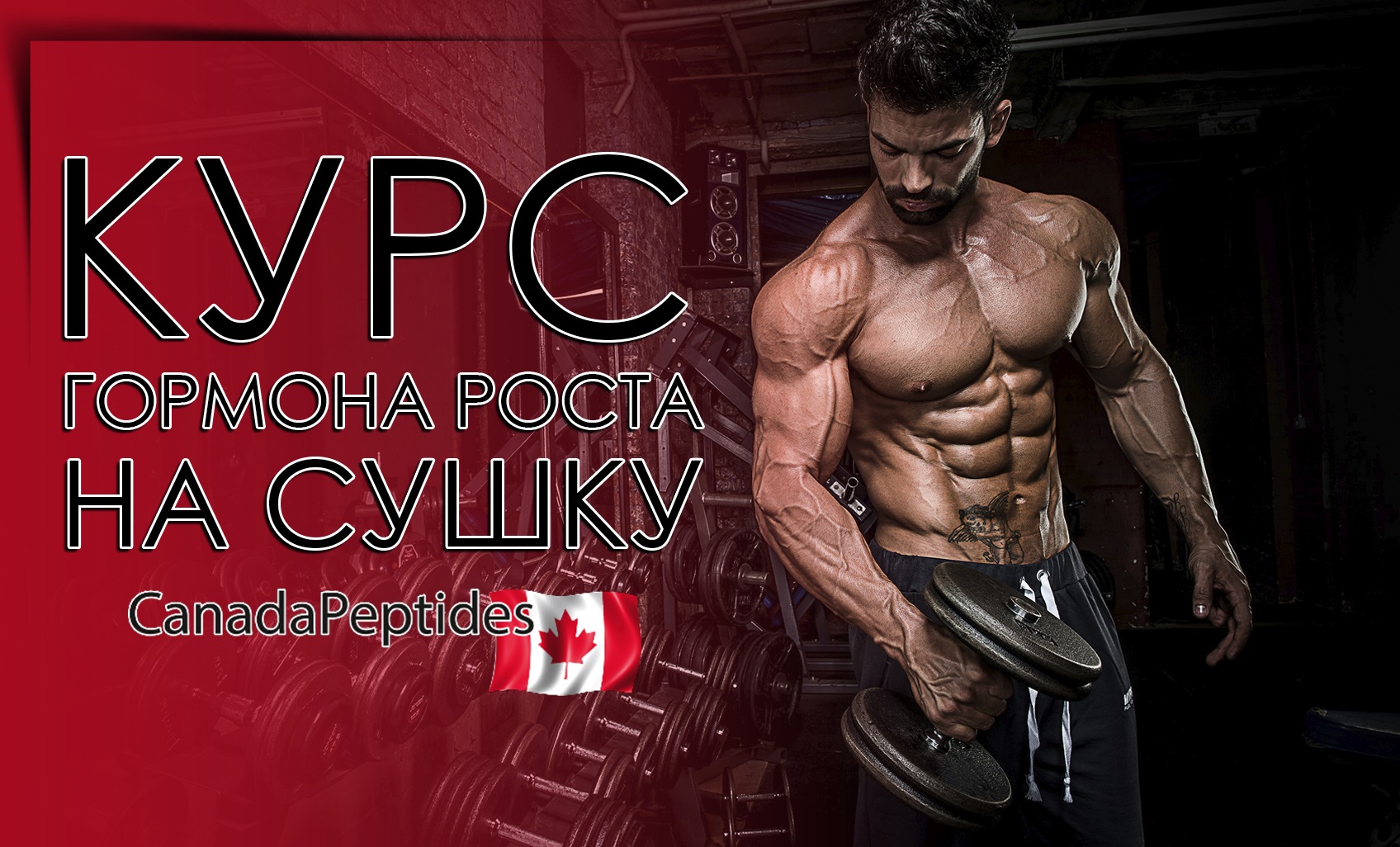 Курс гормона роста на сушку | CANADAPEPTIDES