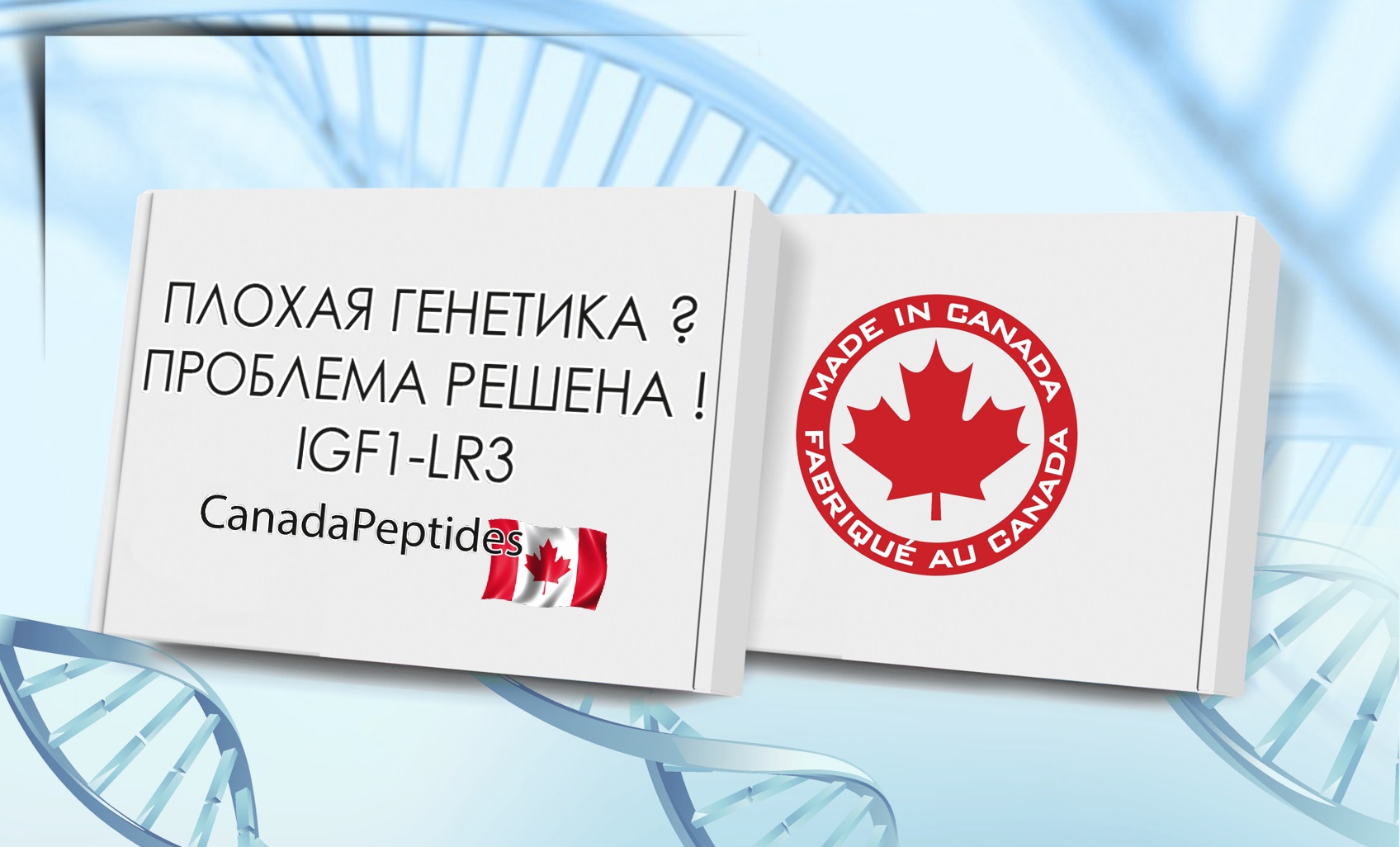 Плохая генетика? Проблема решена! IGF1-LR3 | CANADAPEPTIDES